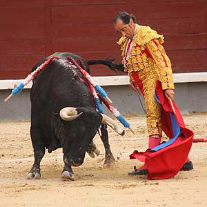 Seobárbaro torero