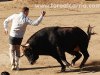 capea-sanse19