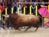 arganda16