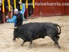 arganda31