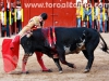 arganda-novillada20