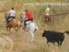 toros-brihuega66