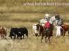 encierro-campo-trillo13