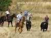 encierro-campo-trillo15