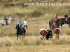 encierro-campo-trillo47