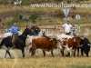 encierro-campo-trillo50