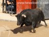 chilo05