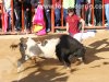 chilo17