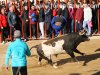 chilo24