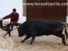 chilo10