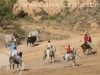 toros-cifuentes21