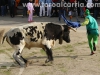 CarnavalToro35