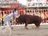 arganda31