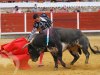 corrida-primavera21