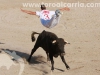 Coslada09.jpg