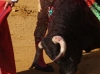 cuenca13