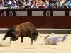 LasVentas17