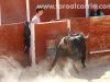 encierro-trillo04