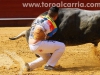 torosValencia03.jpg