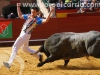 torosValencia09.jpg