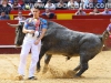 torosValencia39.jpg