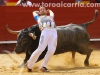 torosValencia48.jpg