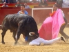 torosValencia62.jpg