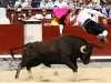 lasventas65