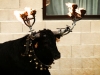 morera22