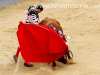 las-ventas23