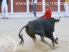 encierro-guada15-16