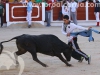 encierro-guada15-23