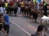 guadadia18-04