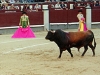 lasventas020611-21