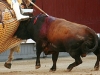 lasventas020611-25