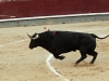 lasventas020611-39