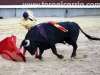 Ventas36
