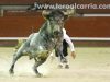 leganes-toros12