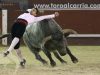 leganes-toros29