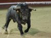 toros-leganes34