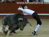 toros-leganes38