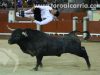 toros-leganes49