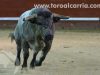 toros-leganes56