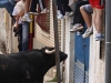 elpozo16