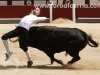 recortadores-lasventas04