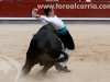 recortadores-lasventas55