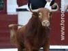 lasventas33