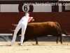 LasVentas29