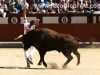 LasVentas53