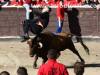 sanse13